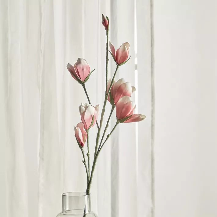 Yulan Flowers Stem