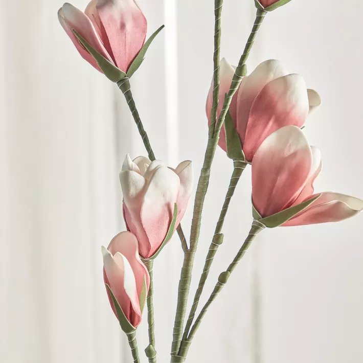 Yulan Flowers Stem