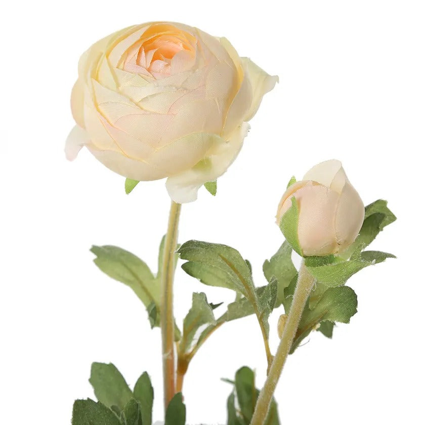Ranunculus Ball Spray, Cream & Peach – 62 cms