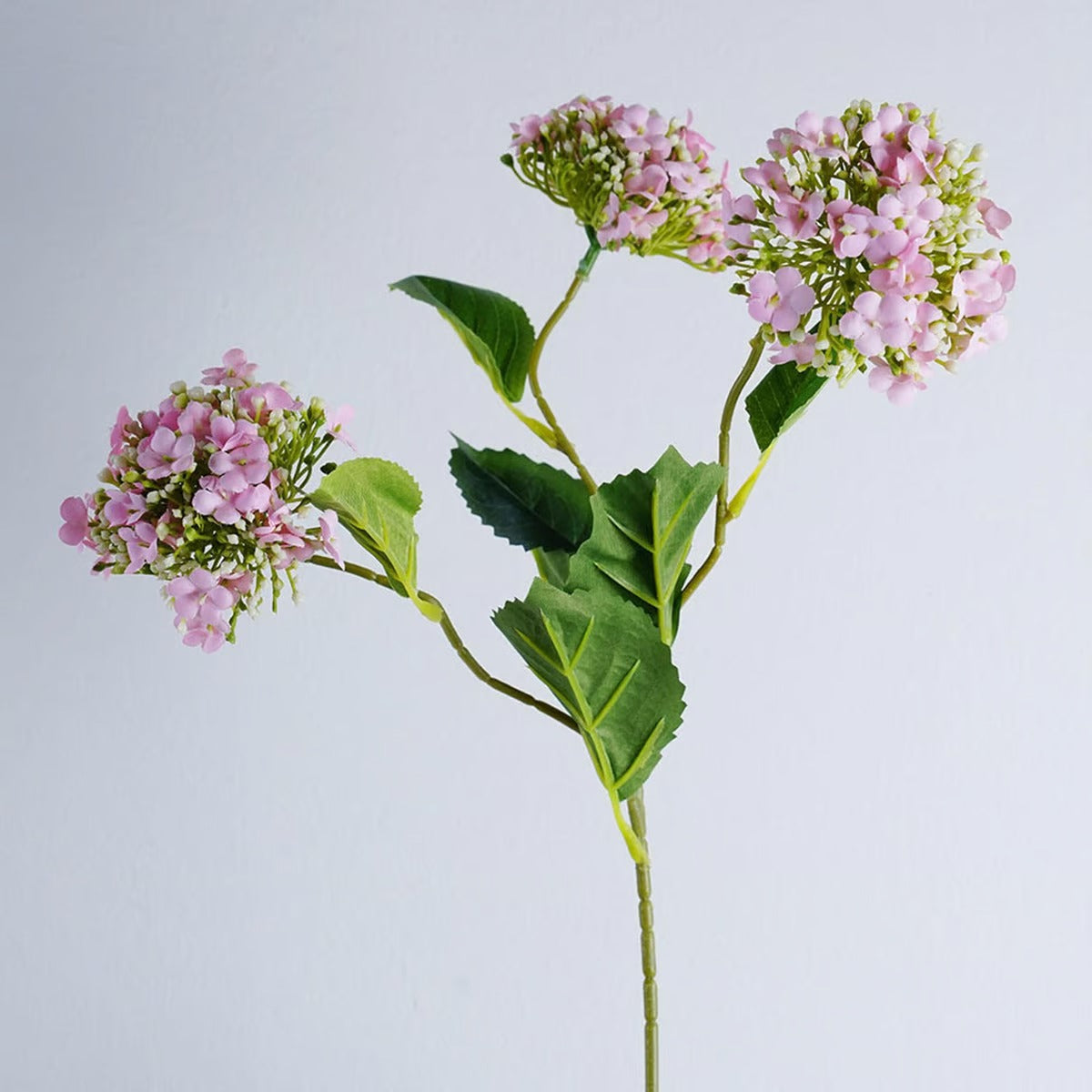 Single Hydrangea Pink H64cm
