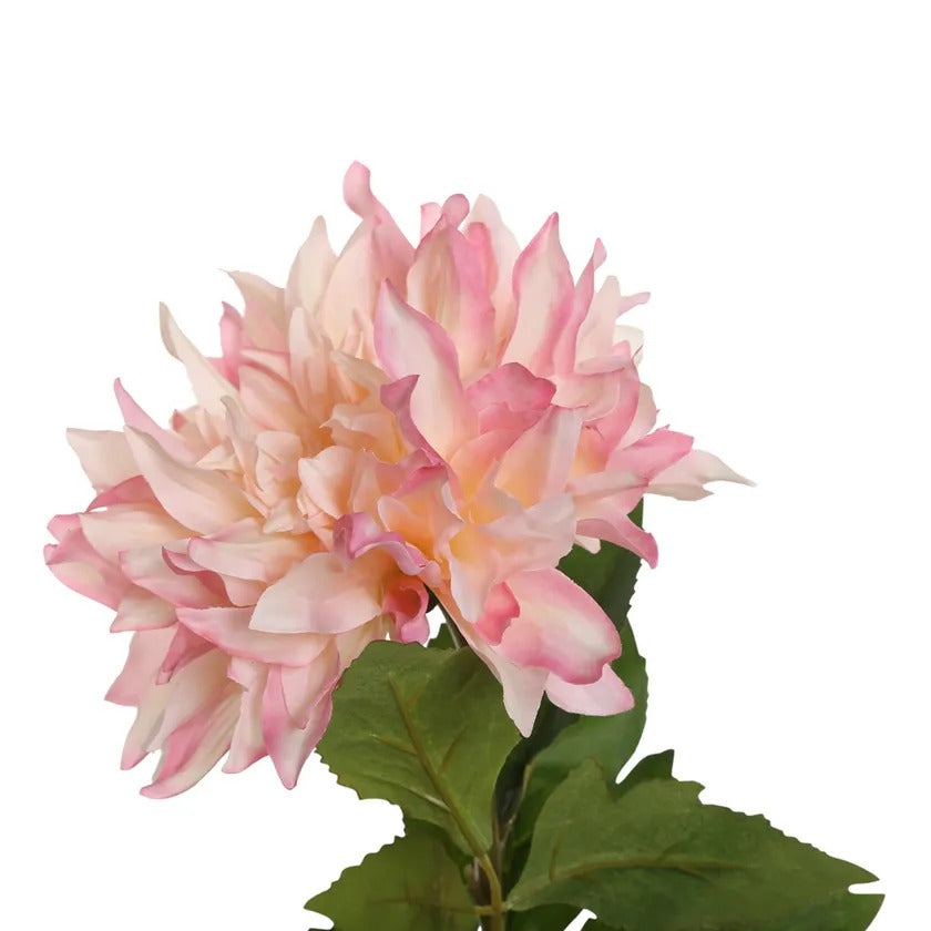 Faille Large Dahlia Stem, Pink & Cream – 78 cms