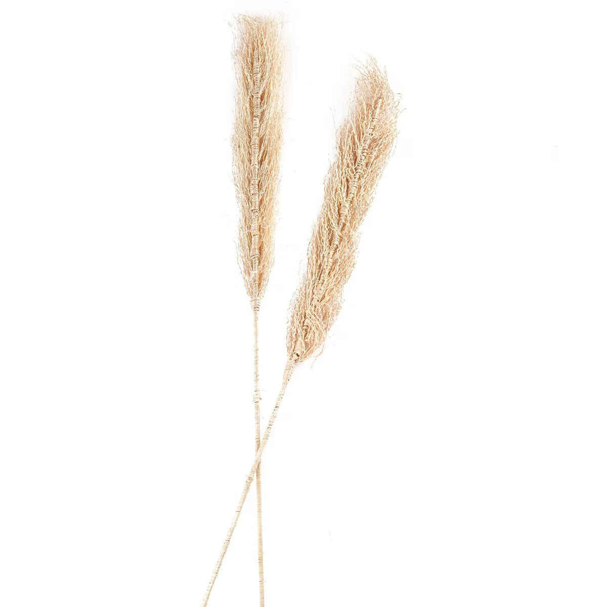 Bello Dried Plant Stem H100cm - White
