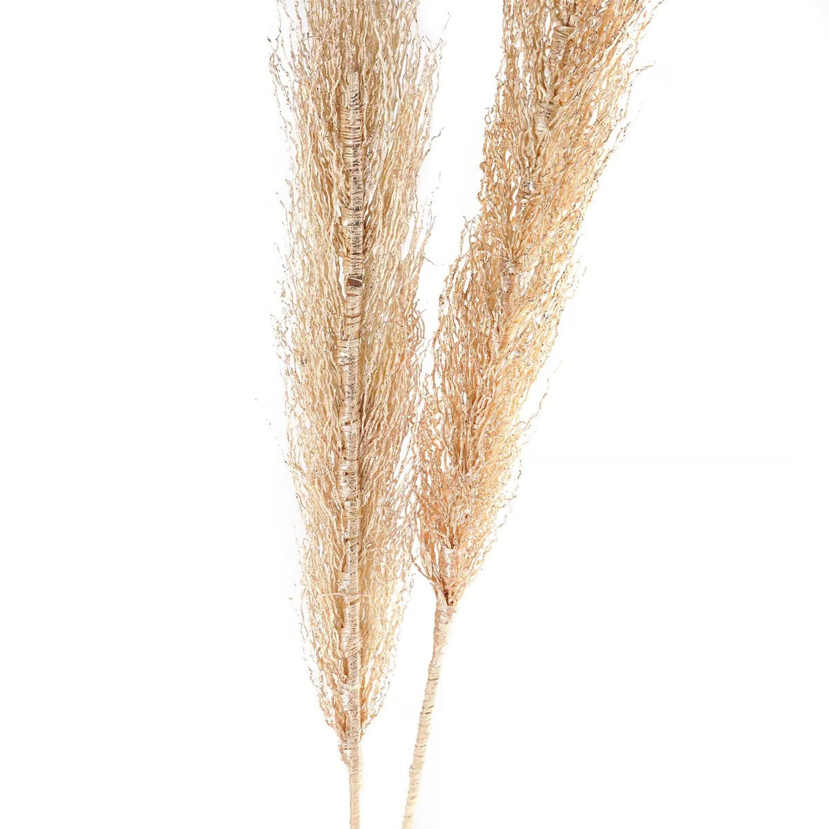 Bello Dried Plant Stem H100cm - White