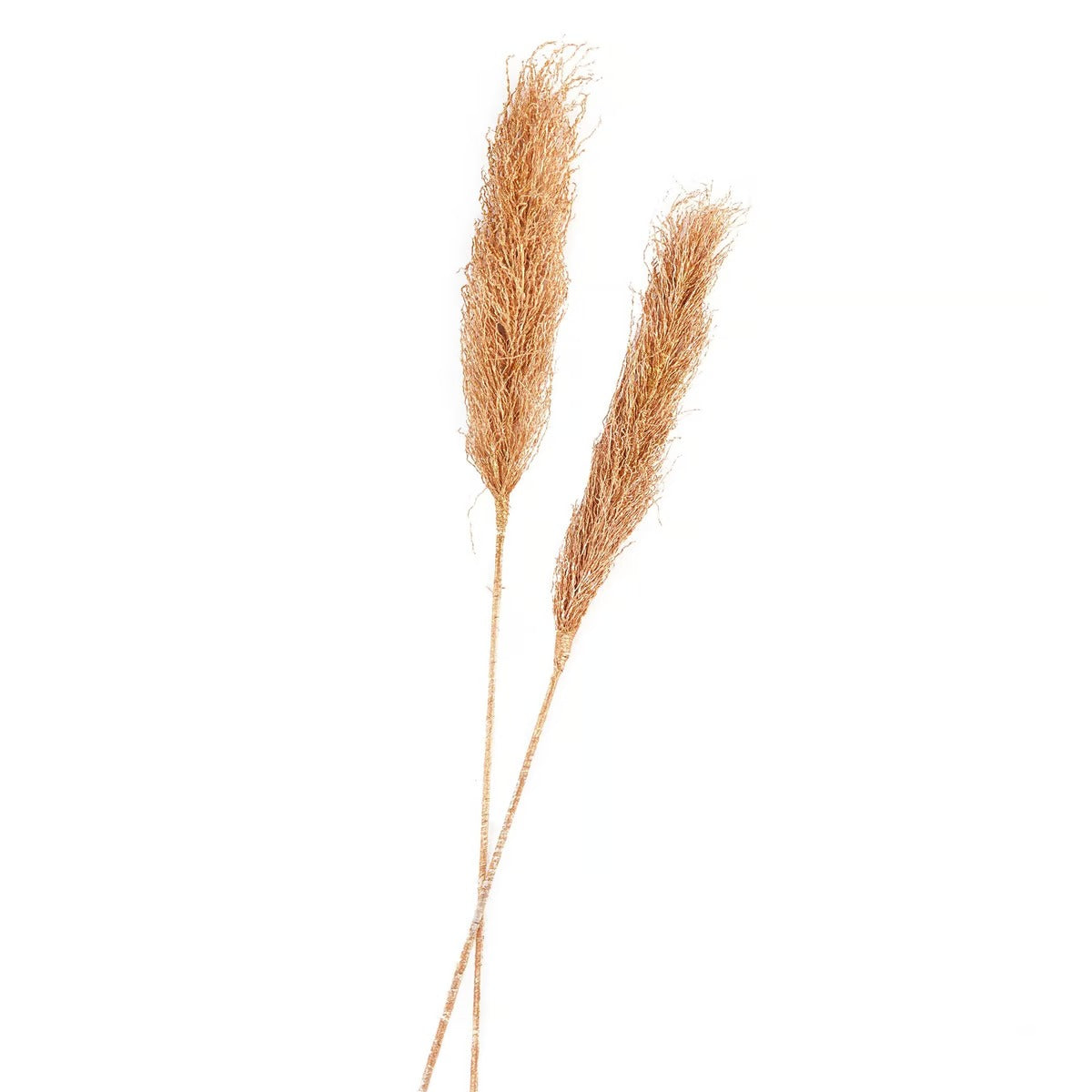 Bello Dried Plant Stem H100cm - Gold