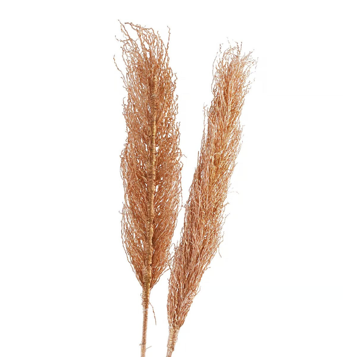 Bello Dried Plant Stem H100cm - Gold