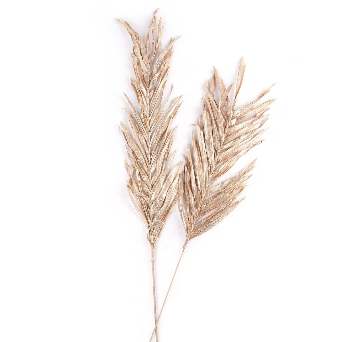 Oddete Dried Plant Stem H100cm - Gold