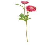 Faile Ranunculus Spray, Gummy Pink – 38 cms