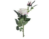 Rose Bud Double Romance Stem, passion lilac – 77 cms