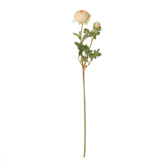 Ranunculus Ball Spray, Cream & Peach – 62 cms