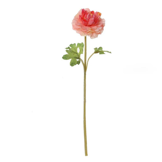 Ranunculus Dome Faile Stem, Pink & Peach - 38 cms