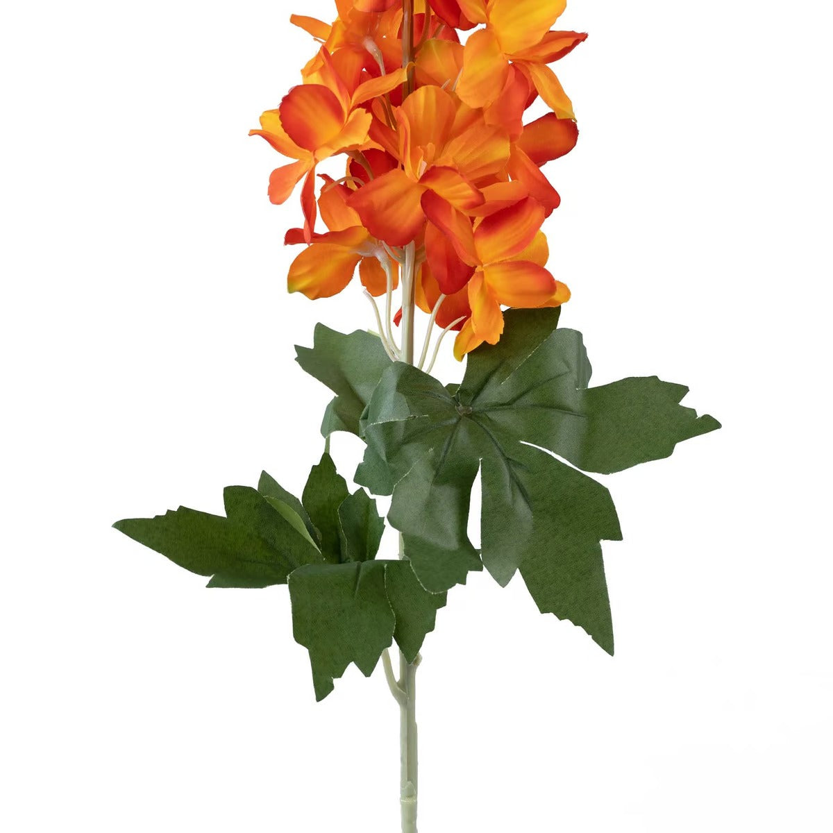 Delphinium Single Stem Flower H88cm - Orange