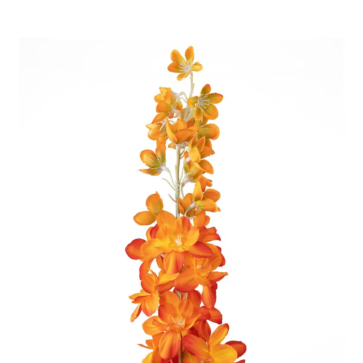 Delphinium Single Stem Flower H88cm - Orange