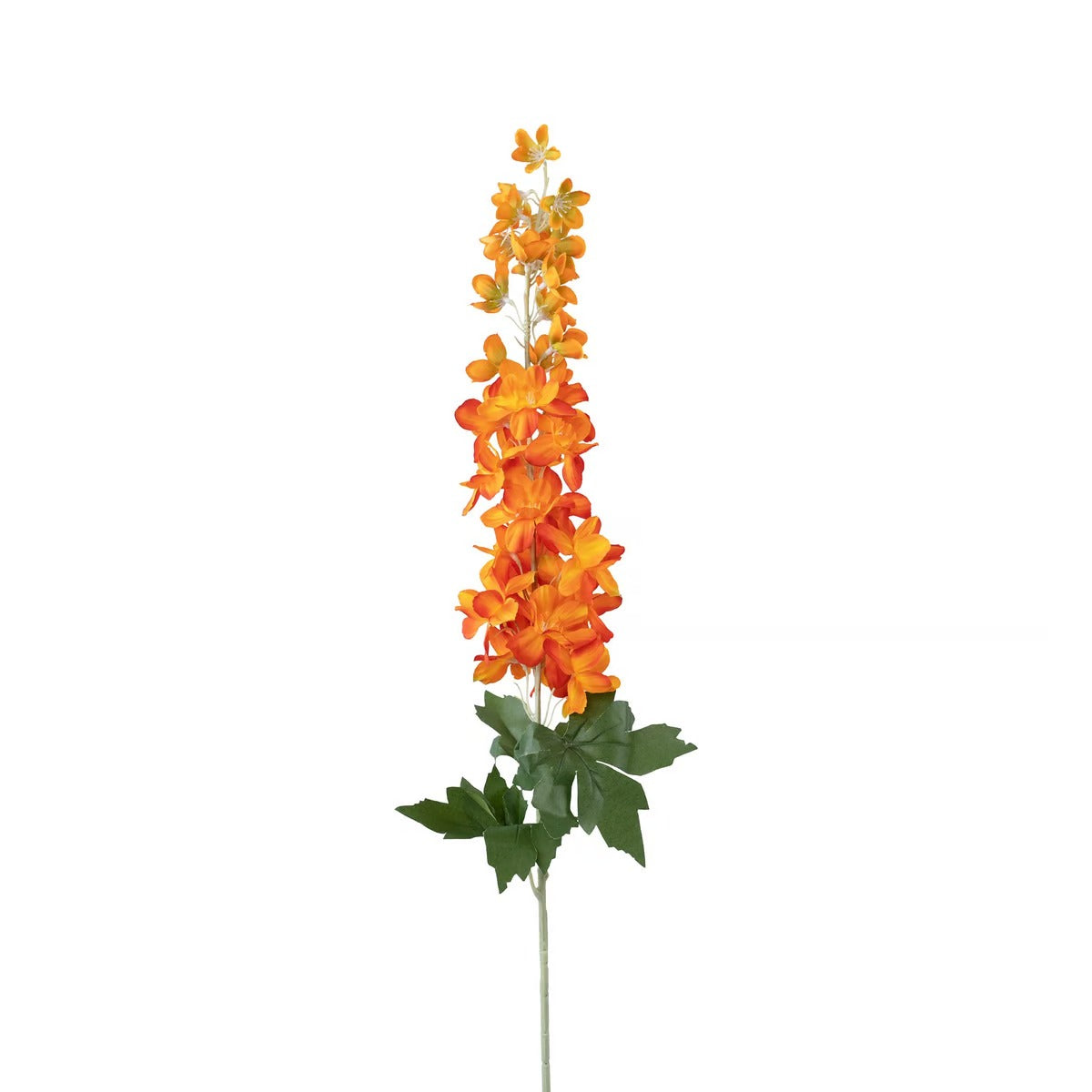 Delphinium Single Stem Flower H88cm - Orange