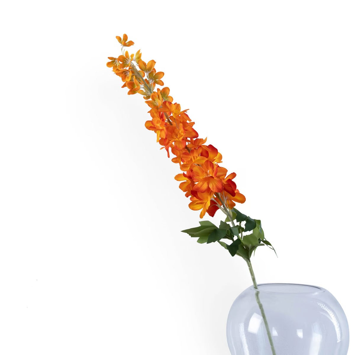 Delphinium Single Stem Flower H88cm - Orange