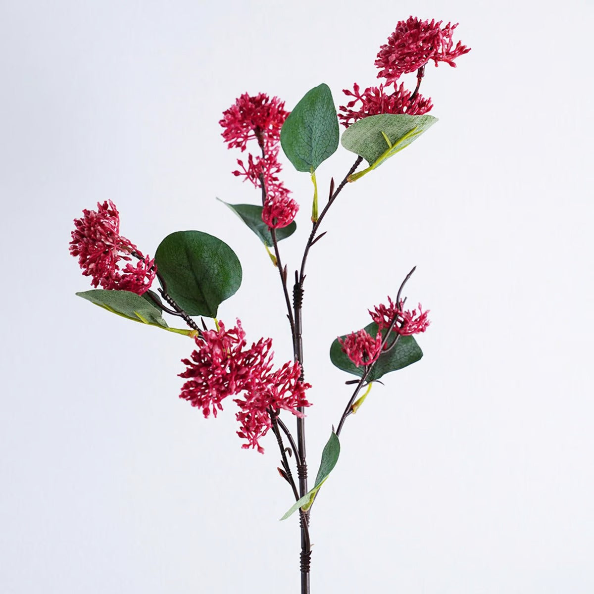 Fruit Flower Plum H64cm