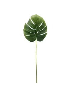 Monasteria Leaf 80cm Green