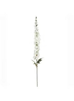 Delphinium Single Stem Flower 124cm Cream