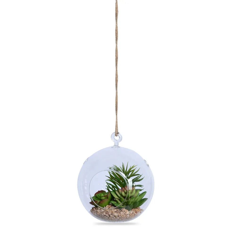Succulents in Round Hanging Terrarium, Green – 15x17 cm