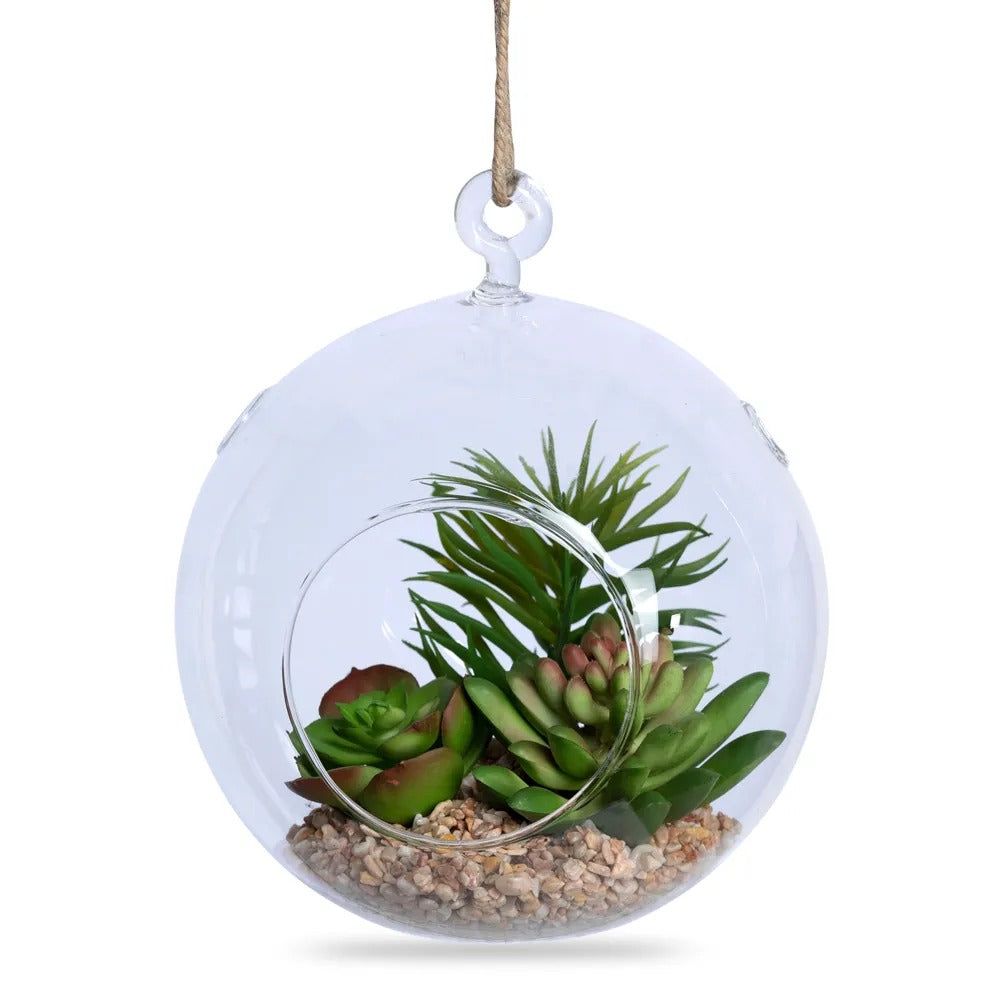 Succulents in Round Hanging Terrarium, Green – 15x17 cm