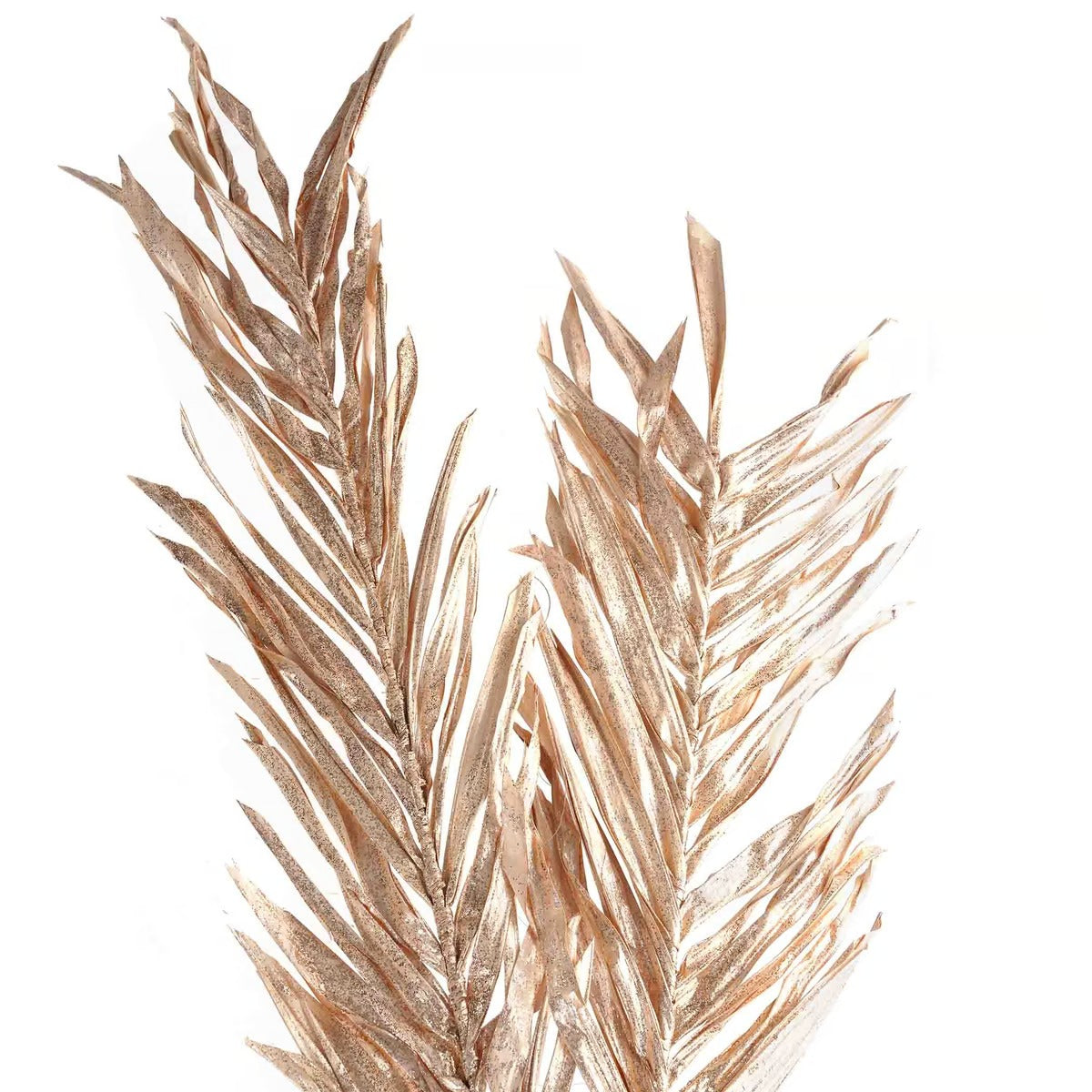Oddete Dried Plant Stem H100cm - Gold