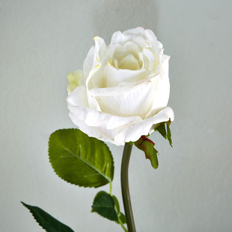 Rose Stem (White)
