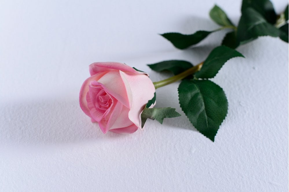 Rose (Pink)