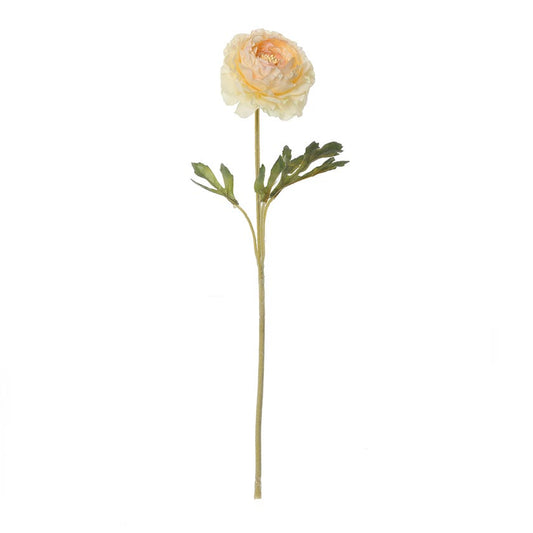 Faile Ranunculus Flower (Cream)