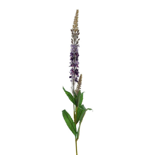 Meal Sage Spray (Purple)