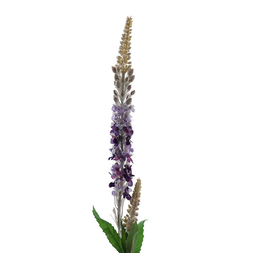 Meal Sage Spray (Purple)