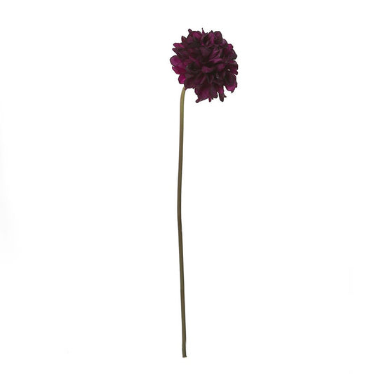 Faile Dahlia Stem (Eggplant)