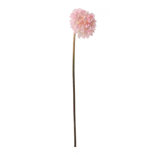 Faile Dahlia Stem (Soft Pink)