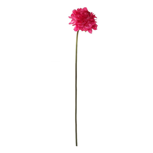 Faile Dahlia Stem (Pink)