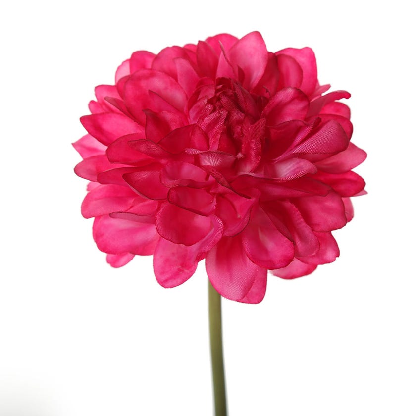 Faile Dahlia Stem (Pink)