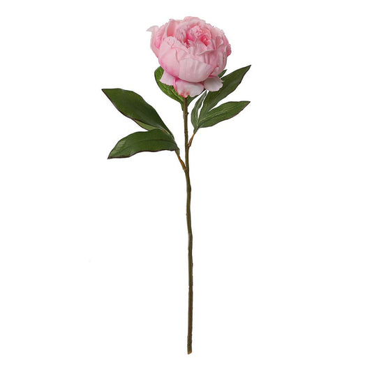 Peony Stem (Pink)