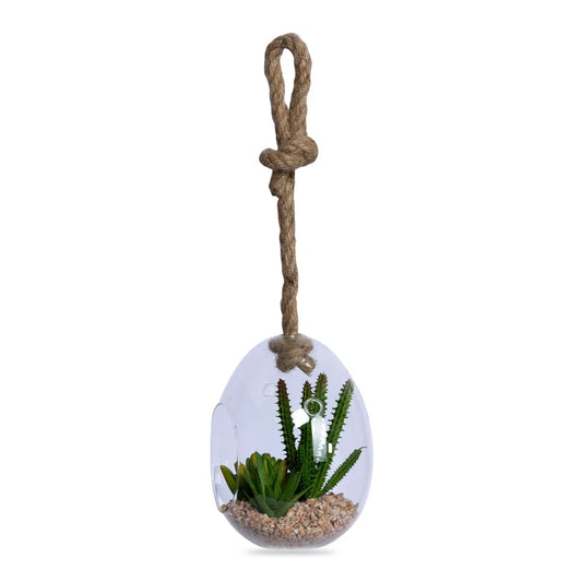 Succulents in Oval Hanging Terrarium, Green – 13x17 cm