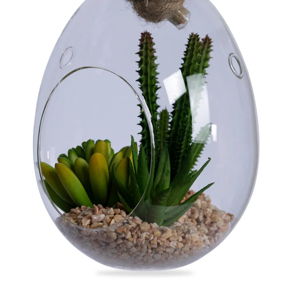 Succulents in Oval Hanging Terrarium, Green – 13x17 cm