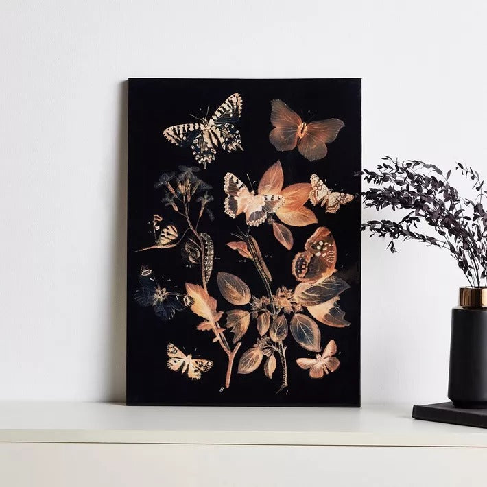 Butterflies Canvas Wall Art
