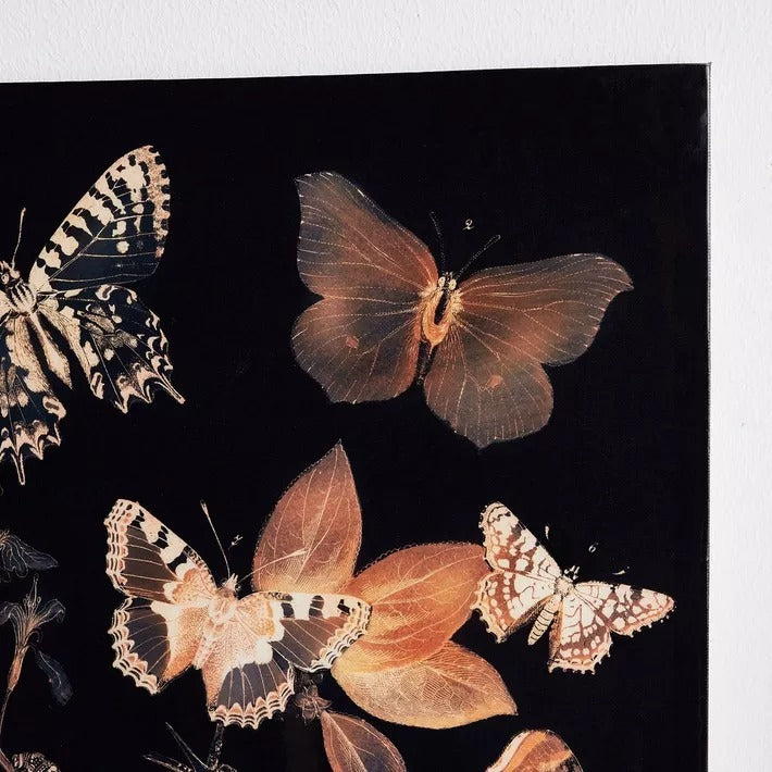 Butterflies Canvas Wall Art