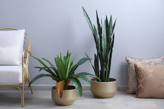 Catraz Planter (Gold)