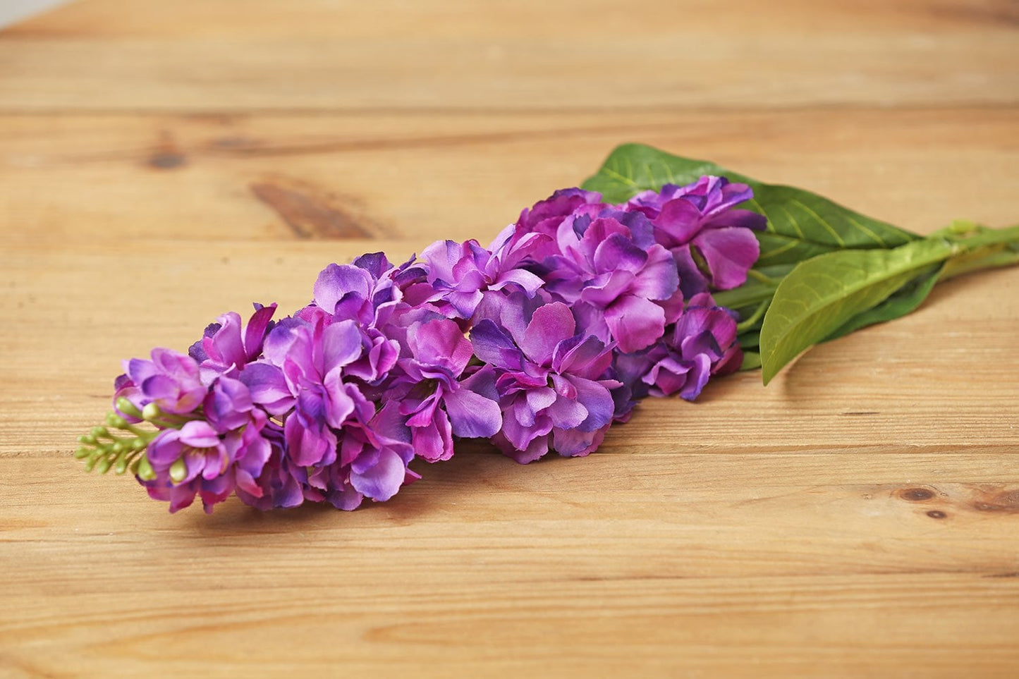 Delphinium (Purple)