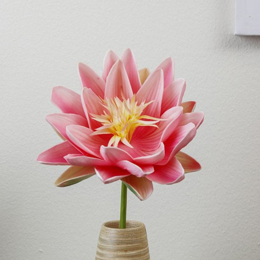 Lotus (Pink) 20"