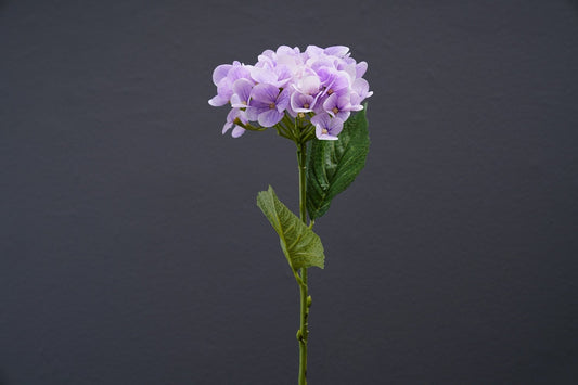 Hydrangea Stem (Purple)