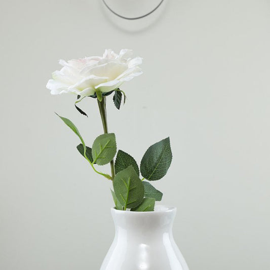 Single Stem Rose Cream H64cm