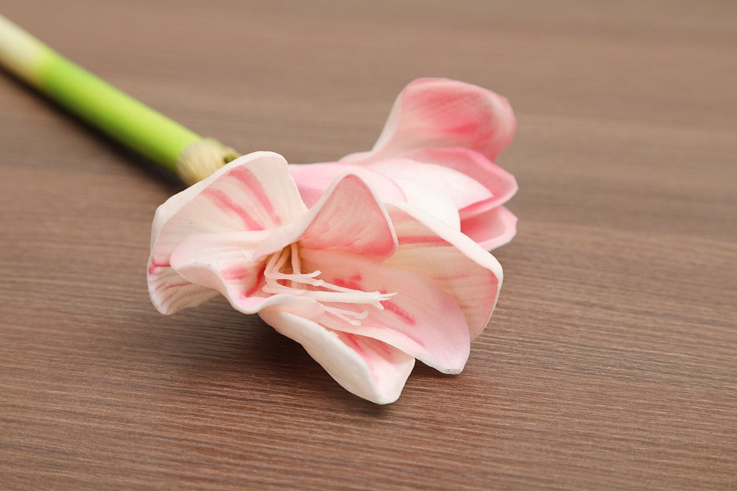 Kaffir Lily (Pink) 11"
