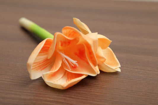 Kaffir Lily (Orange) 11"